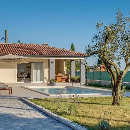 Villa In With Swimming Pool