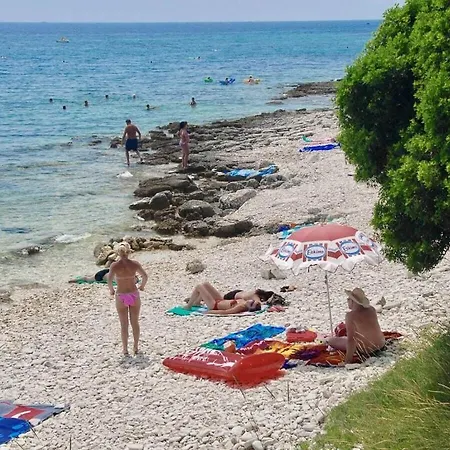 In With Swimming Pool Smoljanci