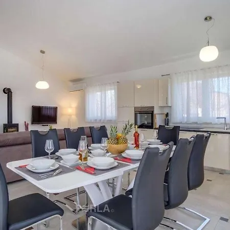 In With Swimming Pool Villa Smoljanci