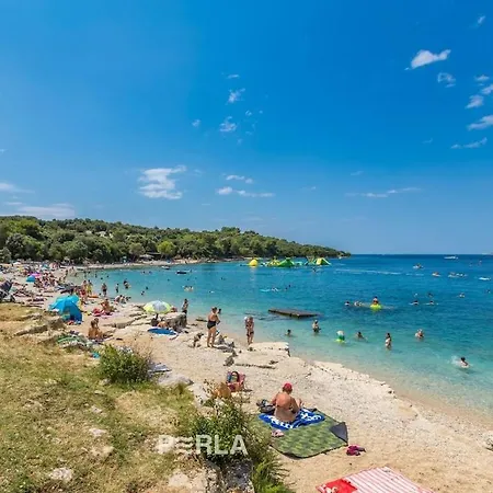 Villa In With Swimming Pool Smoljanci